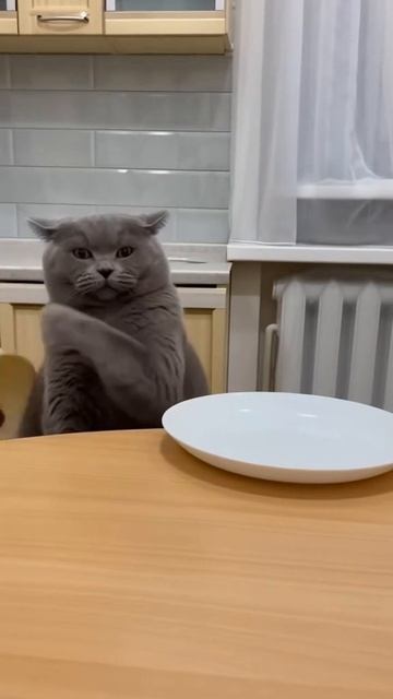 Прощелкал блины