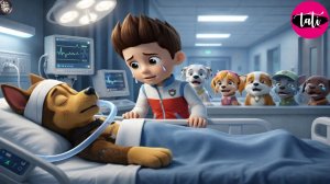 Щенячий патруль и Маршалл. Залипательное видео. Мультфильм для детей и малышей. Анимация 314