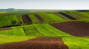 Путешествие, по Карпатам !