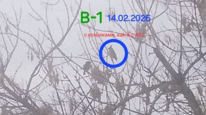 ❤️🔥 ХОХЛАТЫЕ под 🔥ВАЛЕВО🔥 14.02.2026