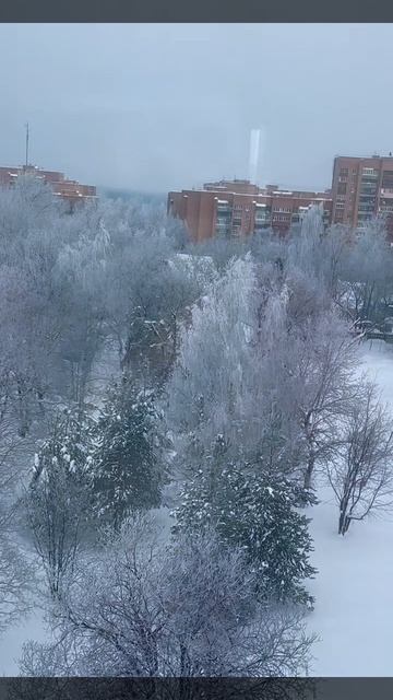 И снова за окном зима