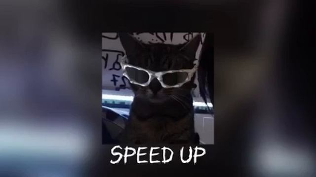 ночной плейлист 🎶 ( Speed Up )
