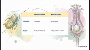 Биология 6 класс параграф 25 РАЗМНОЖЕНИЕ РАСТЕНИЙ И ЕГО ЗНАЧЕНИЕ краткий пересказ Пасечник