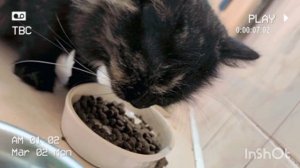 КУШАЕМ НИКОГО НЕ СЛУШАЕМ