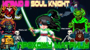 Перетряхиваю Матрицу в SOUL KNIGHT за Даму Меча!