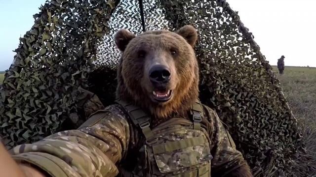 Михалыч и Потапыч - «Наши бурые друзья обустраиваются»№ 6