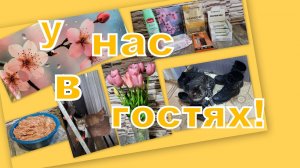 ВЛОГ: СНОВА С НАМИ!!! ГОТОВИМ ТАЗИКАМИ, МОЕМ ПОТОЛКИ, МИЛЫЕ ПОДАРКИ, ИНТЕРЕСНЫЕ ПОКУПКИ!!!