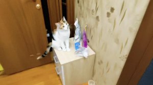 Любашины будни,небольшой обзор покупок✅ Алиска не поняла что от неё хотят🤣