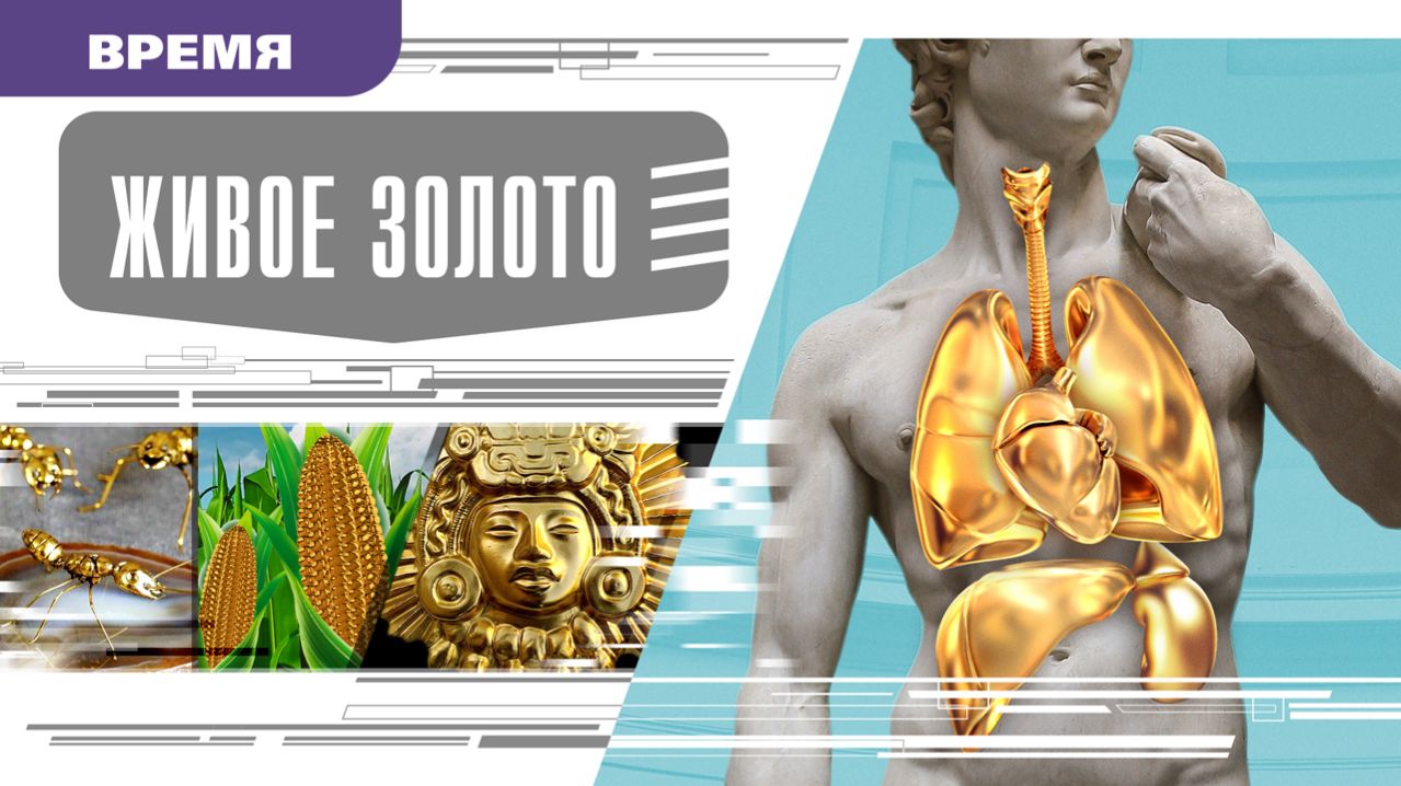 ЖИВОЕ ЗОЛОТО. Аудиокнига. Время События Люди!