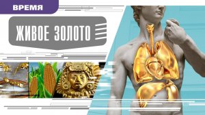 ЖИВОЕ ЗОЛОТО. Аудиокнига. Время События Люди!