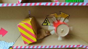 🐝🐝Ловушки для хомяков, препятствия, рои пчёл в историях о хомяках