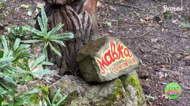 В Ялте можно увидеть русалок