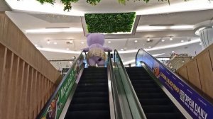 ТАЙЛАНД. ПАТТАЙЯ. ТРЦ РОЯЛ ГАРДЕН ПЛАЗА