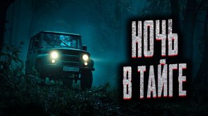 Ночь в тайге. Страшные истории на ночь. Мистика. Страшилки на ночь.