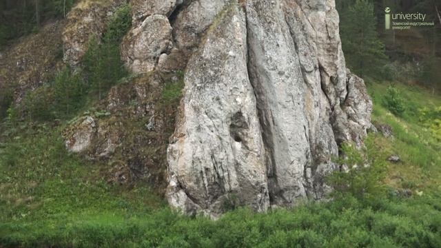 Основы нефтегазовой геологии