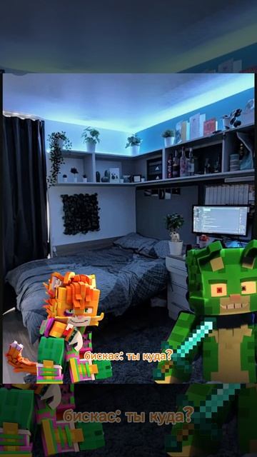 разноцветные коты