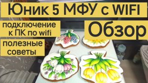 Печать на пряниках. Юник 5 МФУ с WIFI. Обзор, подключение к ПК по WIFI, нюансы, полезные советы.