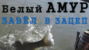 Рыбалка 4-2016