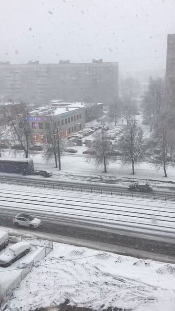Санкт-Петербург. 02.02.2026. Весна! Проспект Энгельса. Обильный снегопад. Эпизод 2