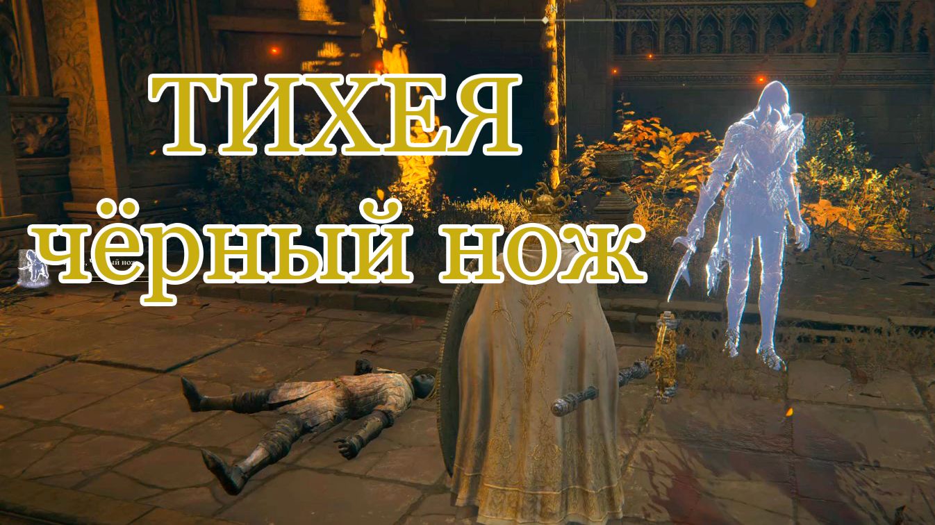Тихея, Чёрный нож: разобралась со стражем, но не так уверенно как Хьюго | Тест прахов Elden Ring