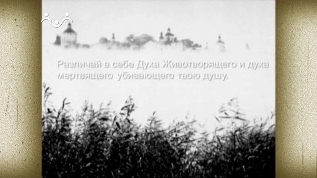 Современная Практика Православного Благочестия. Вып.04. Святой Дух