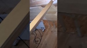 1000049590.mp4 (Собака наблюдает за устройством лестницы на 2-ой этаж в доме А-фрейм)