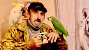 РУГАЕМСЯ  с попугаем Кешей! От ревности к другим попугаям он НАКИНУЛСЯ на меня и клюнул!