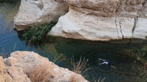 Интересное место для плавания!