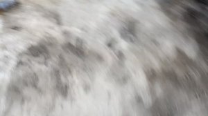 Из ролика челпана