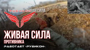 Живая сила противника. «Рубикон» продолжает вести охоту на пехоту ВСУ в зоне СВО