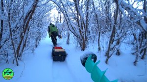 ЗАБРАЛСЯ туда, КУДА не ступала НОГА ЧЕЛОВЕКА и ВОТ ИТОГ. Рыбалка на РЕКЕ.