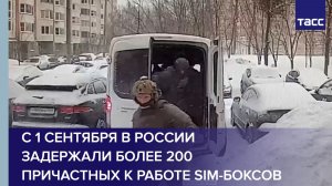 С 1 сентября в России задержали более 200 причастных к работе sim-боксов