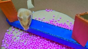 Препятствия в лабиринте «Улитка-монстр»