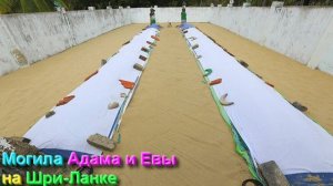 Из записной книжки батюши от 02.03.26