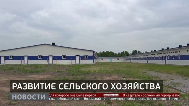 Мясо, молоко, овощи: обеспечить край своими продуктами. Новости. 02/03/2026. GuberniaTV