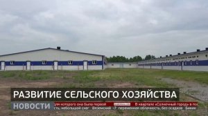 Мясо, молоко, овощи: обеспечить край своими продуктами. Новости. 02/03/2026. GuberniaTV