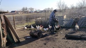 Весна всё больше вступает в свои права. Жизнь на пенсии.