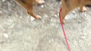 ГУЛЯЮ С КуПоЧкОй & ПОкаЗЫваЮ гипс ❤️☠️🤙🤙🤙