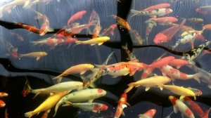 Время радости🙂☀️