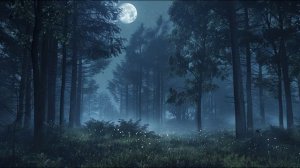 Полная луна в лесу — атмосфера ночи, природные звуки, глубокий сон — 1 час