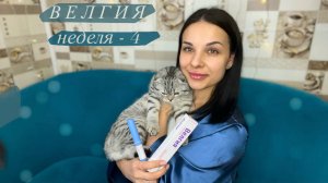 Дневник похудения. ВЕЛГИЯ #4: неделя. Последний укол