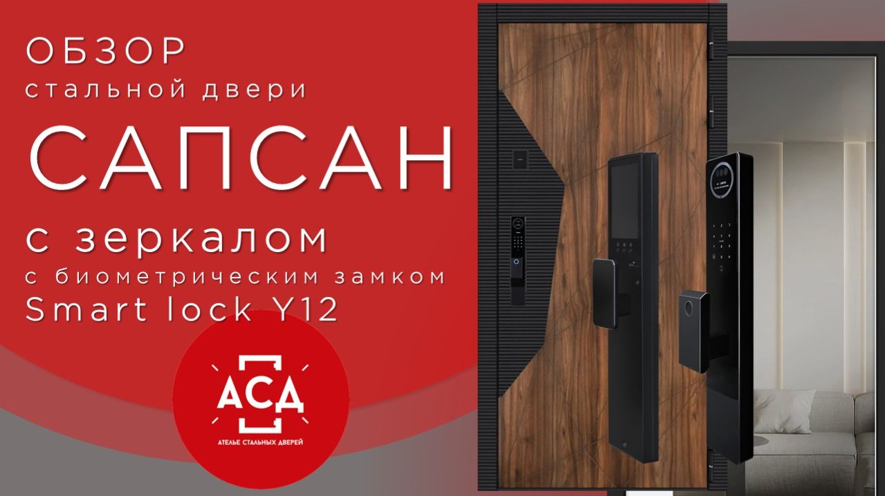 Стальная дверь Сапсан с зеркалом (биометрический замок smart lock Y12)