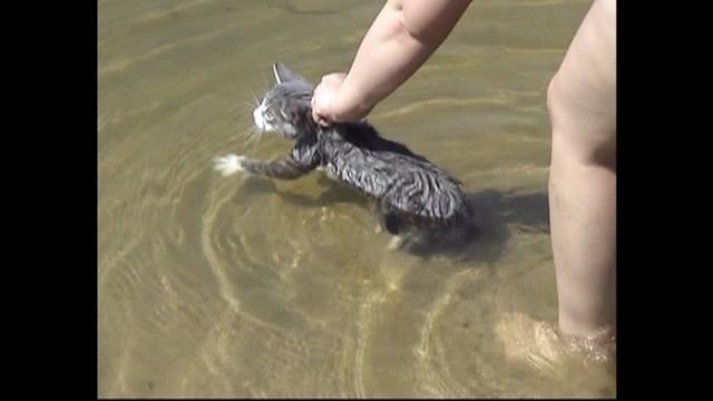 Незнакомка купает в озере котенка.