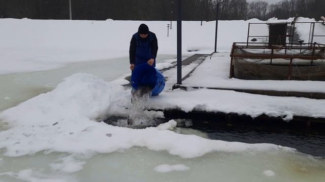 ЗАРЫБЛЕНИЕ 2 МАРТА