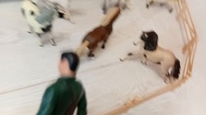 Челендж 48 часов в леваде