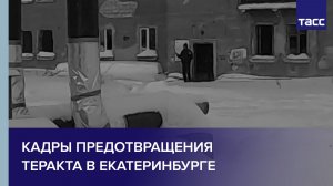 Кадры предотвращения теракта в Екатеринбурге