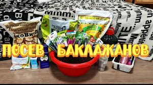 03.03.26 Посев баклажанов.
