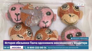 История обезьянки Панча вдохновила мексиканского кондитера