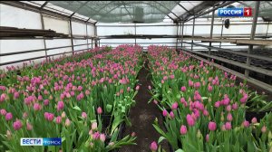 Вести-Томск, выпуск от 03.03.2026 11:30