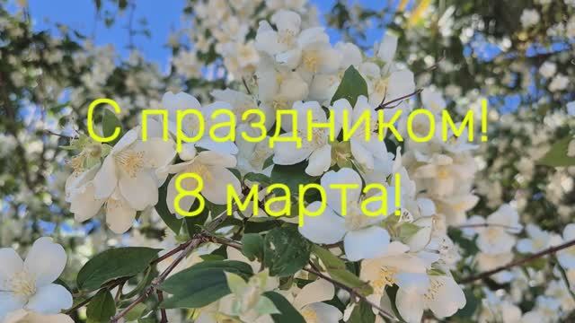 Поздравления на 8 марта с  днём весны любимая моя!